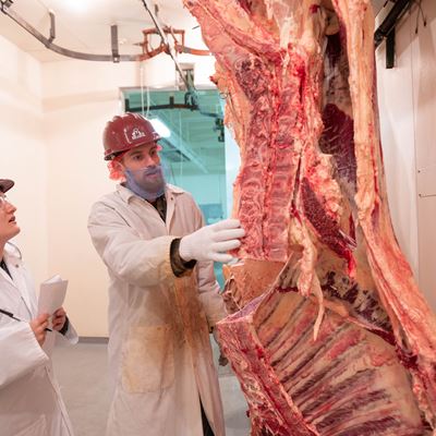 Meat judging team