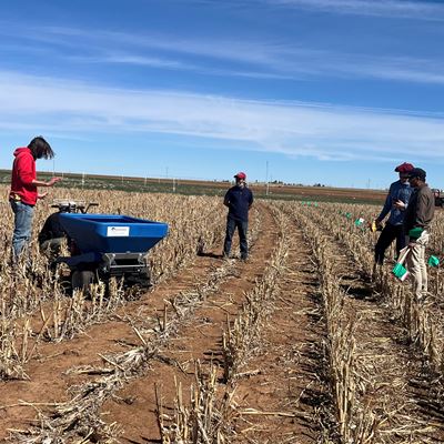 A group of people working in a field