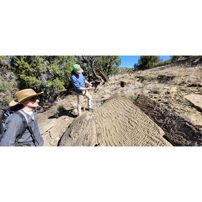 NMSU geology partnership gives students access to Reynolds Field Station