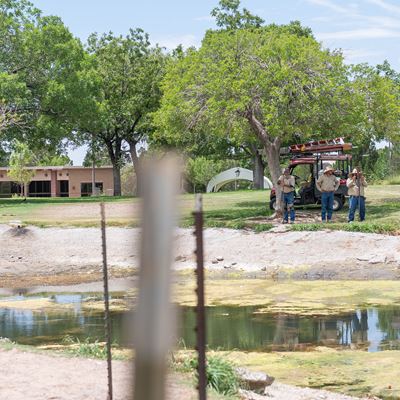 Photo of NMSU Alumni pond prior to renovations