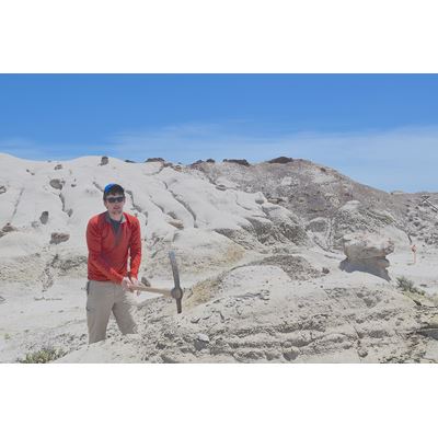 NMSU professor s research uncovers last surviving dinosaurs in New Mexico