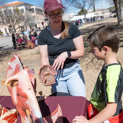 IMAGE DESCRIPTION A woman showing a heart from an anatomical model to a young boy