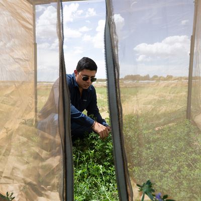 nmsu a a b n p d 072425 5