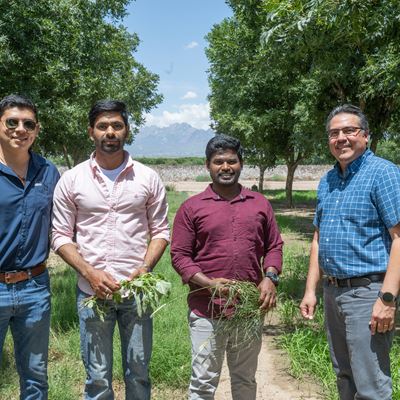 nmsu a a b n p d 072425 4