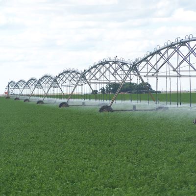 IMAGE DESCRIPTION An alfalfa field being watered