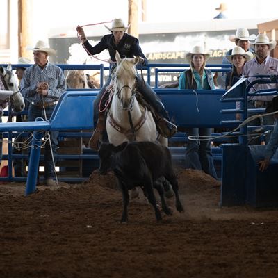 Photo of NMSU Rodeo Team NMSU photo by Josh Bachman