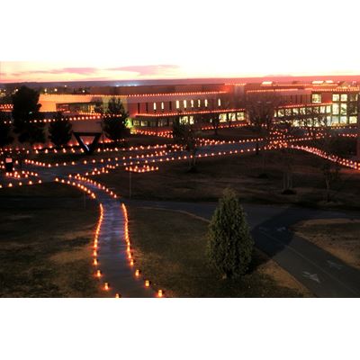 Safety tips Holiday lights trees and travel