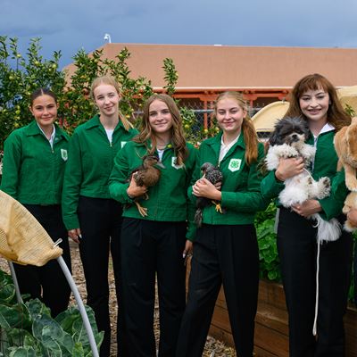 Bernalillo County 4 H