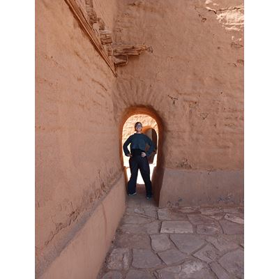 NMSU College of Arts and Sciences names first Cleveland Award recipient