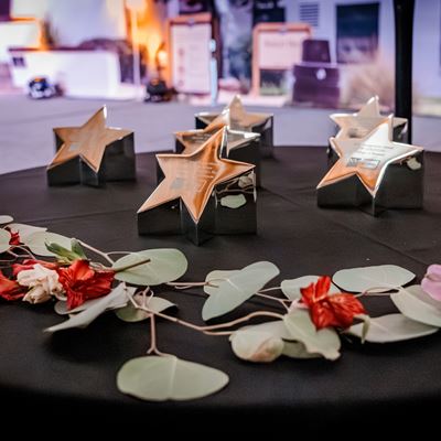 Distinguished Alumni Awards