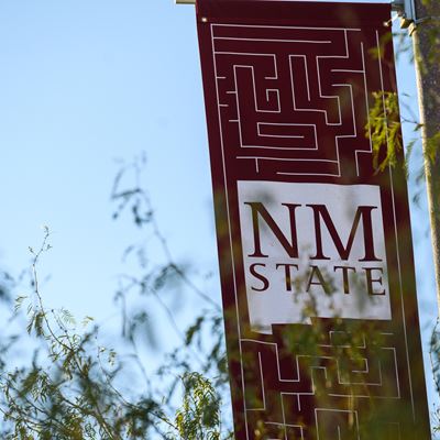 Photo of NMSU logo