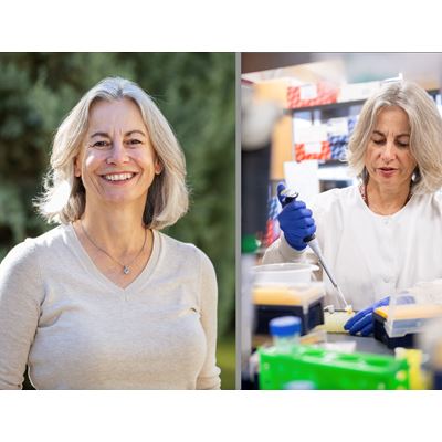 CUSA names NMSU s Kathryn Hanley 2026 Professor of the Year