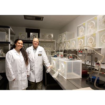 NMSU researchers new formula for mosquito food helps stop spread of disease
