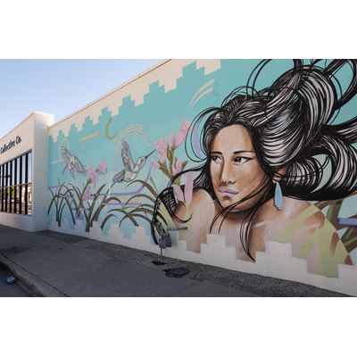 Murales Fronterizos Preserving the history of public art in the Borderlands