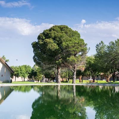 Photo of Alumni Pond after reopening in August 2026