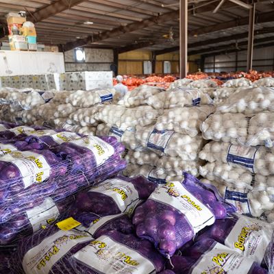 Photo of onions stocked at Barker Produce