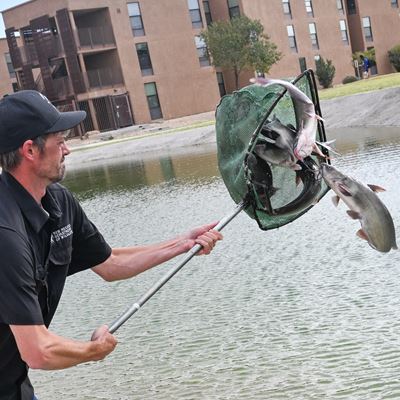 Photo of New Mexico Department of Wildlife personnel stocking channel catfish