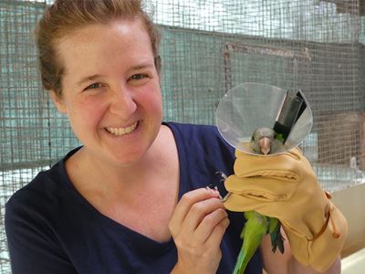 Biology professor collaborates with NMSU alumni in ongoing parrot research