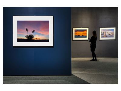 Photo of Into the Great White Sands Photographs by Craig Varjabedian exhibition tour