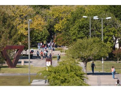 Safety Tips Crosswalks