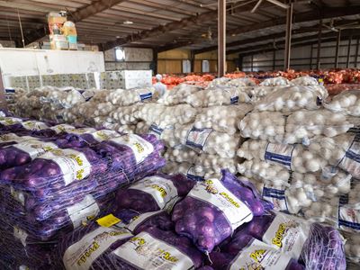 Photo of onions stocked at Barker Produce