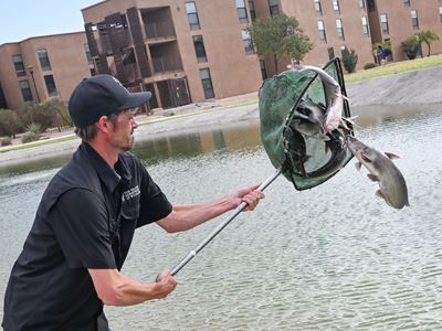 Photo of New Mexico Department of Wildlife personnel stocking channel catfish