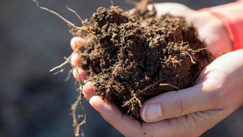 Healthy soil is the key to successful agriculture. New Mexico State University will host a two-day soil health workshop