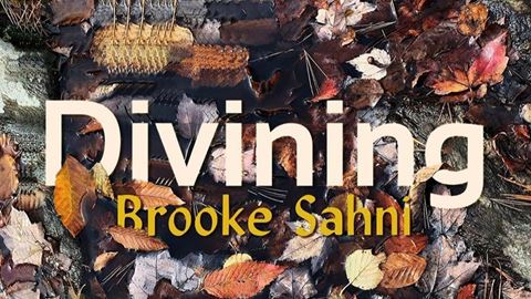 NMSU alumna Brooke Sahni’s chapbook, “Divining,” was recently published by Orison Books after winning the 2019 Orison Ch