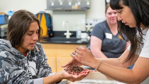 TRIO_Anthropods_Insects_Class _063022-9