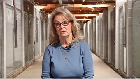 NMSU film grad to screen documentary, fundraise for Animal Rescue League