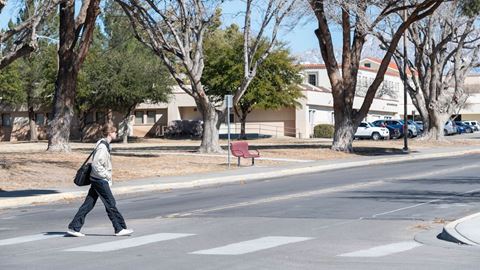 NMSU crosswalk