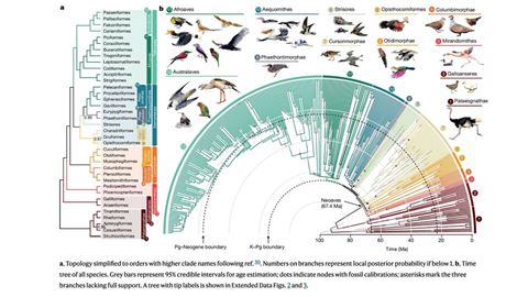 Phase 2 of NMSU professor s bird genome research reveals new methods