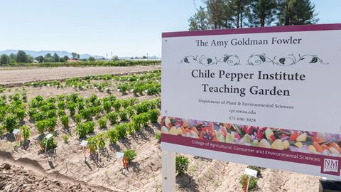 Amy Goldman Fowler Teaching Garden