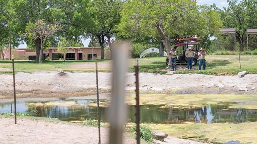Photo of NMSU Alumni pond prior to renovations