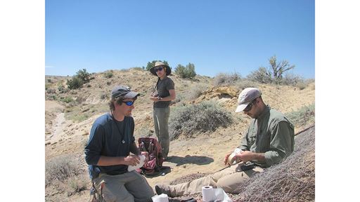 nmsu-professor-s-research-uncovers-last-surviving-dinosaurs-in-new-mexico
