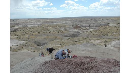 NMSU professor s research uncovers last surviving dinosaurs in New Mexico