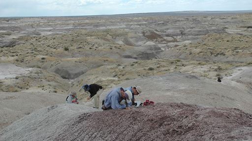 NMSU professor s research uncovers last surviving dinosaurs in New Mexico