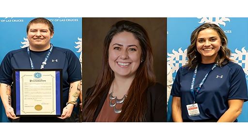 Vote ER Civic Health Fellowship