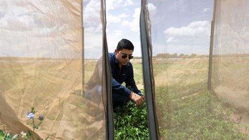 nmsu_appliedagbio_newphd_072425-5