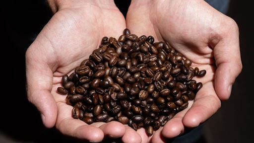 nmsu_coffeetravels_0062525-3