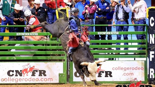 photo-of-brad-moreno--2025-college-national-finals-rodeo-world-champion-all-around-cowboy
