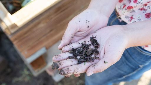 nmsu_growingforward_070225-3