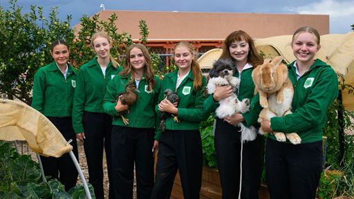 bernalillo-county-4-h