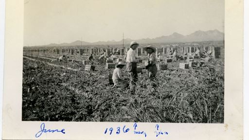 photo-of-nakayama-family-photographs
