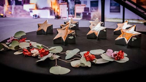 Distinguished Alumni Awards