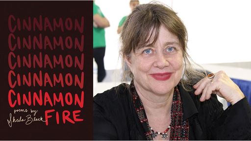 NMSU to host public reading by award winning author poet April 24