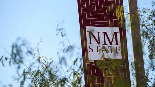 Photo of NMSU logo