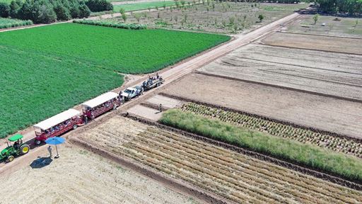 IMAGE DESCRIPTION Aerial overview of a group of agricultural plots at the NMSU Agricultural Science Center at Los Lunas