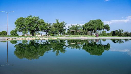 Photo of Alumni Pond after reopening in August 2026