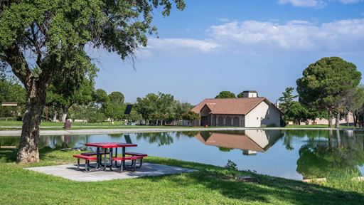 Photo of Alumni Pond after reopening in August 2026